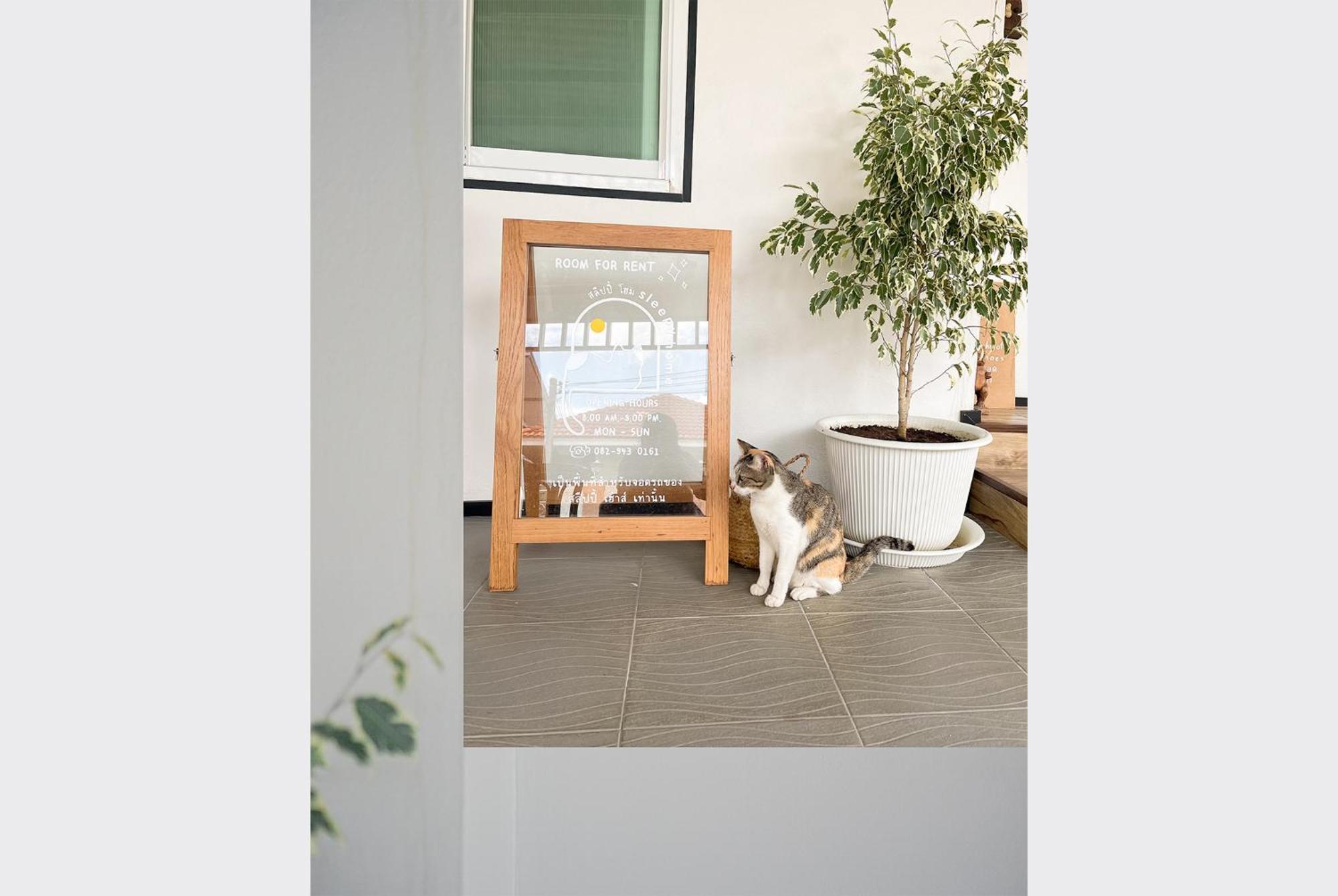 Sleepy House Chiang Rai Bed & Breakfast Exterior foto