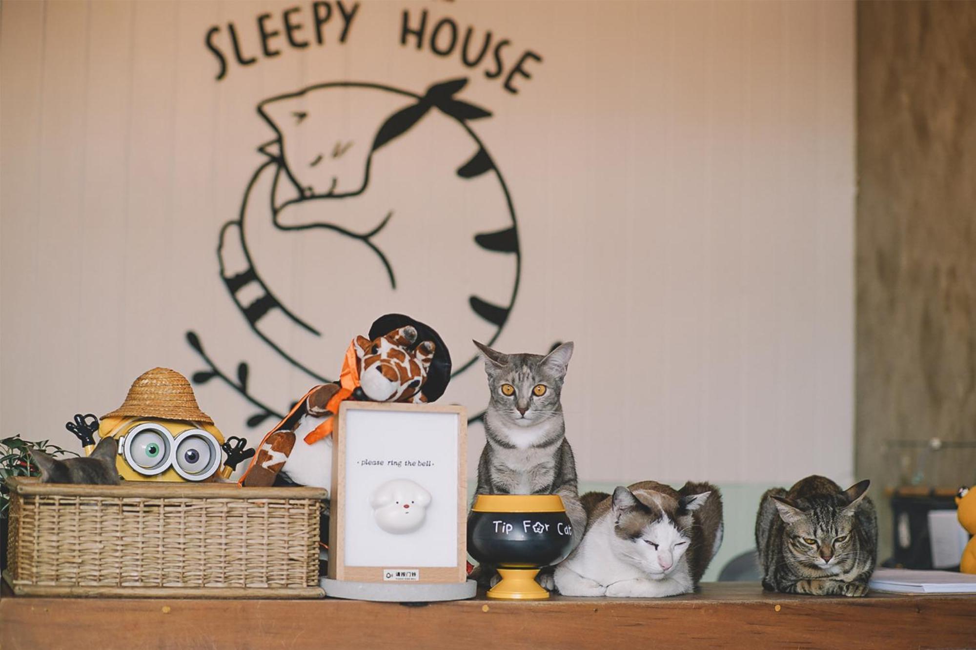 Sleepy House Chiang Rai Bed & Breakfast Exterior foto