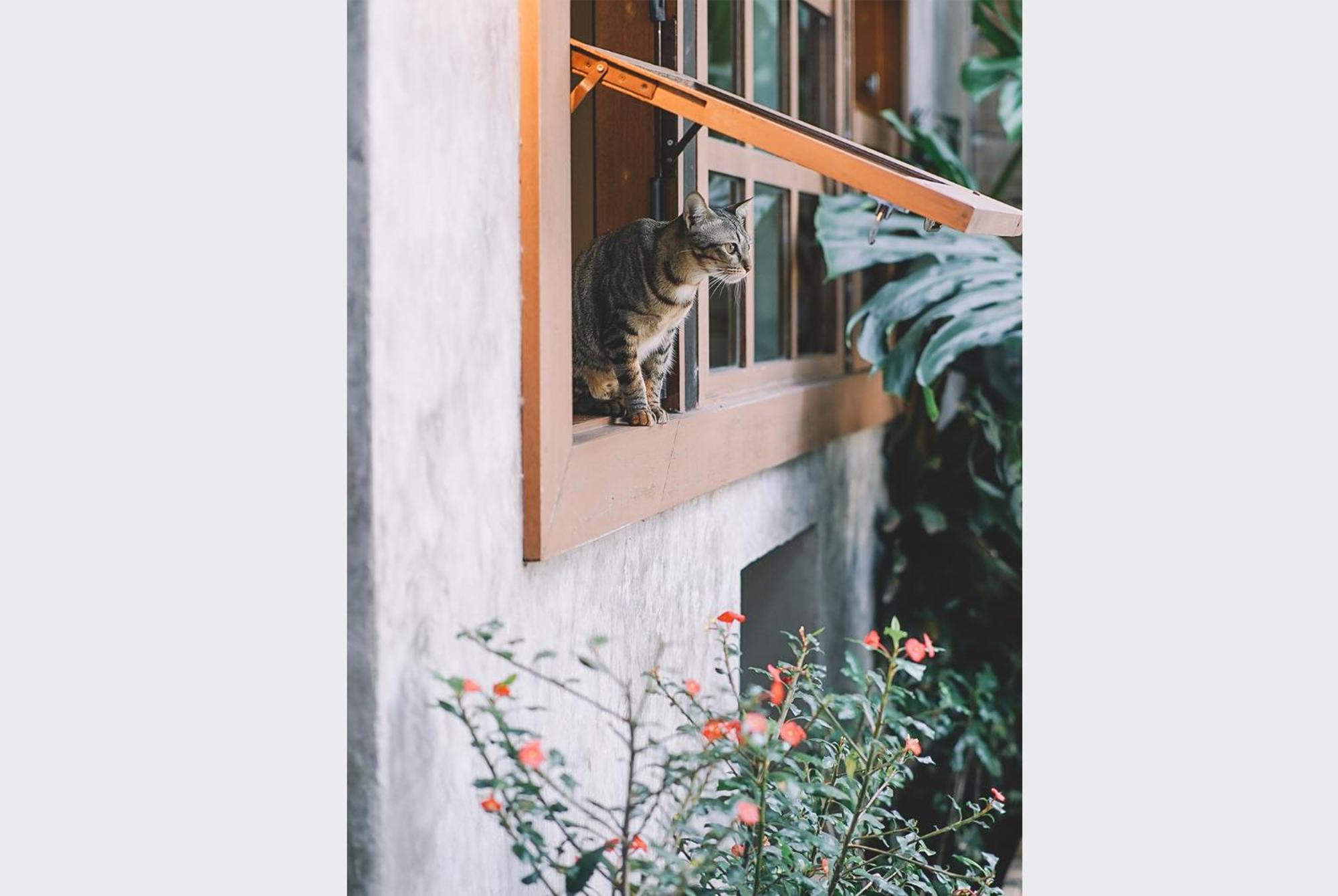 Sleepy House Chiang Rai Bed & Breakfast Exterior foto