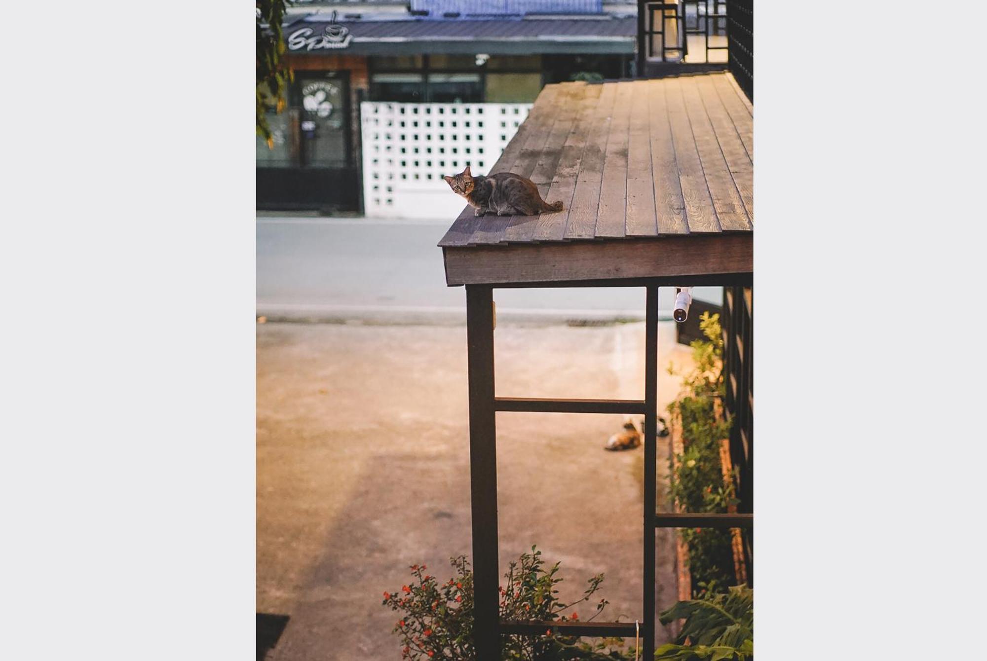 Sleepy House Chiang Rai Bed & Breakfast Exterior foto